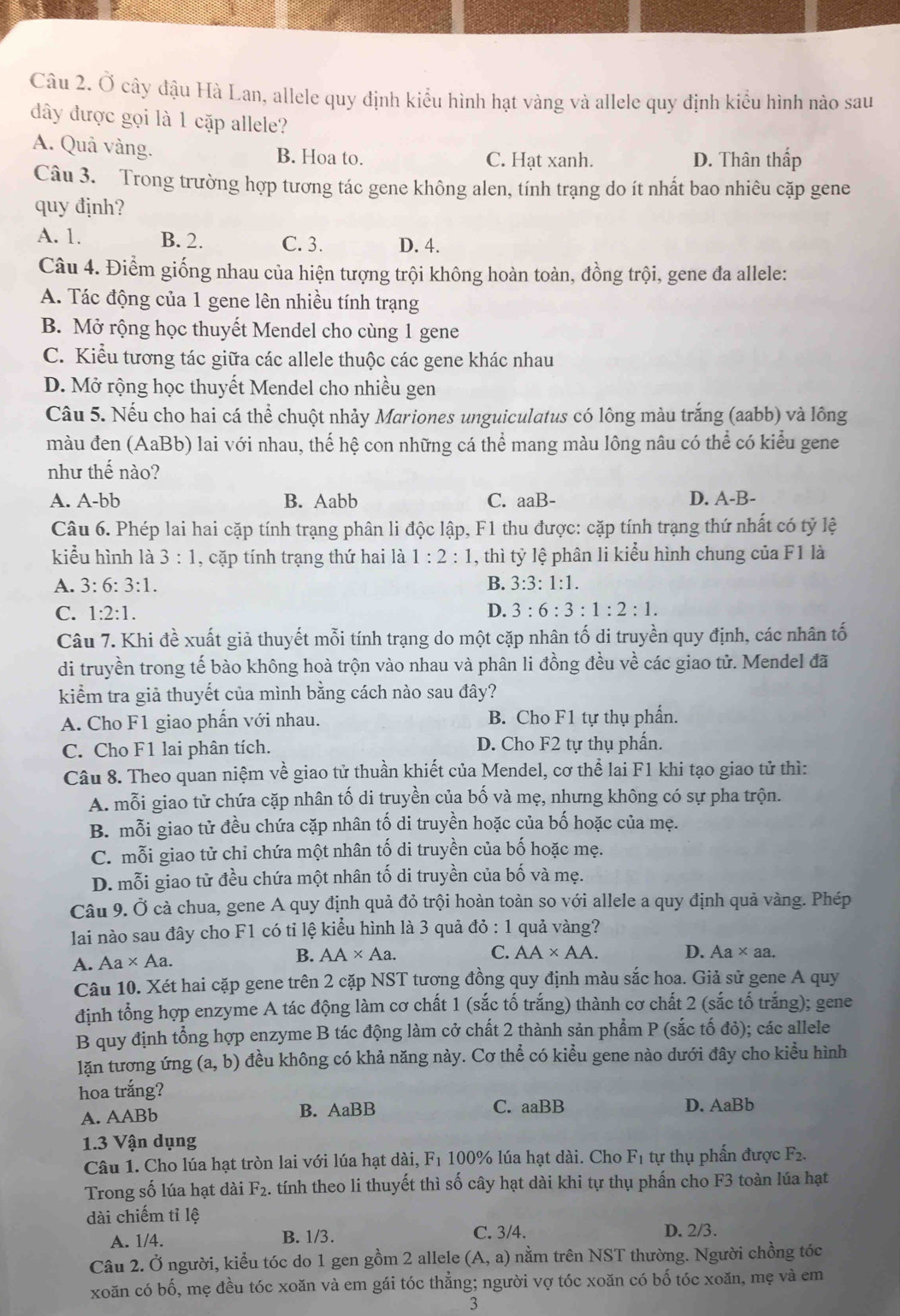Ở cây đậu Hà Lan, allele quy định kiểu hình hạt vàng và allele quy định kiểu hình nào sau
đây được gọi là 1 cặp allele?
A. Quả vàng. B. Hoa to. C. Hạt xanh. D. Thân thấp
Câu 3. Trong trường hợp tương tác gene không alen, tính trạng do ít nhất bao nhiêu cặp gene
quy định?
A. 1. B. 2. C. 3. D. 4.
Câu 4. Điểm giống nhau của hiện tượng trội không hoàn toàn, đồng trội, gene đa allele:
A. Tác động của 1 gene lên nhiều tính trạng
B. Mở rộng học thuyết Mendel cho cùng 1 gene
C. Kiểu tương tác giữa các allele thuộc các gene khác nhau
D. Mở rộng học thuyết Mendel cho nhiều gen
Câu 5. Nếu cho hai cá thể chuột nhảy Mariones unguiculatus có lông màu trắng (aabb) và lông
màu đen (AaBb) lai với nhau, thế hệ con những cá thể mang màu lông nâu có thể có kiểu gene
như thế nào?
A. A-bb B. Aabb C. aaB- D. A-B-
Câu 6. Phép lai hai cặp tính trạng phân li độc lập, F1 thu được: cặp tính trạng thứ nhất có tỷ lệ
kiểu hình là 3:1 , cặp tính trạng thứ hai là 1:2:1 , thì tỷ lệ phân li kiểu hình chung của F1 là
A. 3:6:3:1. B. 3:3:1:1.
C. 1:2:1. D. 3:6:3:1:2:1.
Câu 7. Khi đề xuất giả thuyết mỗi tính trạng do một cặp nhân tố di truyền quy định, các nhân tố
di truyền trong tế bào không hoà trộn vào nhau và phân li đồng đều về các giao tử. Mendel đã
kiểm tra giả thuyết của mình bằng cách nào sau đây?
A. Cho F1 giao phần với nhau. B. Cho F1 tự thụ phần.
C. Cho F1 lai phân tích. D. Cho F2 tự thụ phần.
Câu 8. Theo quan niệm về giao tử thuần khiết của Mendel, cơ thể lai F1 khi tạo giao tử thì:
A. mỗi giao tử chứa cặp nhân tố di truyền của bố và mẹ, nhưng không có sự pha trộn.
B. mỗi giao tử đều chứa cặp nhân tố di truyền hoặc của bố hoặc của mẹ.
C. mỗi giao tử chỉ chứa một nhân tố di truyền của bố hoặc mẹ.
D. mỗi giao tử đều chứa một nhân tố di truyền của bố và mẹ.
Câu 9. Ở cà chua, gene A quy định quả đỏ trội hoàn toàn so với allele a quy định quả vàng. Phép
lai nào sau đây cho F1 có tỉ lệ kiểu hình là 3 quả đỏ : 1 quả vàng?
A. Aa* Aa. B. AA* Aa.
C. AA* AA. D. Aa* aa.
Câu 10. Xét hai cặp gene trên 2 cặp NST tương đồng quy định màu sắc hoa. Giả sử gene A quy
định tổng hợp enzyme A tác động làm cơ chất 1 (sắc tố trắng) thành cơ chất 2 (sắc tố trắng); gene
B quy định tổng hợp enzyme B tác động làm cở chất 2 thành sản phẩm P (sắc tố đỏ); các allele
lặn tương ứng (a,b) đều không có khả năng này. Cơ thể có kiểu gene nào dưới đây cho kiểu hình
hoa trắng?
A. AABb
B. AaBB C. aaBB D. AaBb
1.3 Vận dụng
Câu 1. Cho lúa hạt tròn lai với lúa hạt dài, F_1 100% lúa hạt dài. Cho F_1 tự thụ phần được F_2.
Trong số lúa hạt dài F_2. tính theo li thuyết thì số cây hạt dài khi tự thụ phần cho F3 toàn lúa hạt
dài chiếm tỉ lệ
A. 1/4. B. 1/3. C. 3/4. D. 2/3.
Câu 2. Ở người, kiểu tóc do 1 gen gồm 2 allele (A,a) nằm trên NST thường. Người chồng tóc
xoăn có bố, mẹ đều tóc xoăn và em gái tóc thẳng; người vợ tóc xoăn có bố tóc xoăn, mẹ và em
3