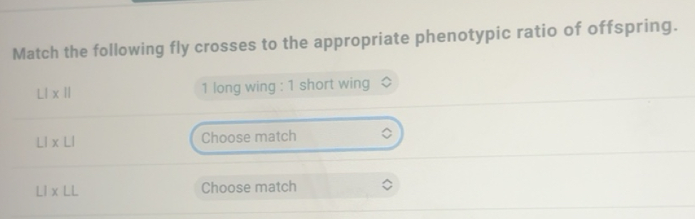 Solved: Match the following fly crosses to the appropriate phenotypic ...