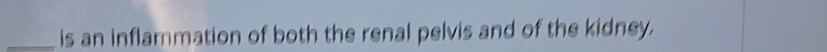 is an inflammation of both the renal pelvis and of the kidney.