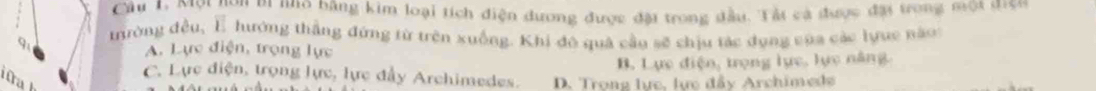 Cầu L Mợt hơn ti nhơ bằng kim loại tích điện dương được đặi trong dầu. Tất cả được đại trong một điện
trường đều, É hướng thắng đứng từ trên xuống. Khi đô quả cầu sẽ chịu tác dụng của các lựực năo
9 A. Lực điện, trọng lực
a B. Lực điện, trọng lực, lực năng.
C. Lực điện, trọng lực, lực đầy Archimedes. D. Trong lực, lực đây Archimede