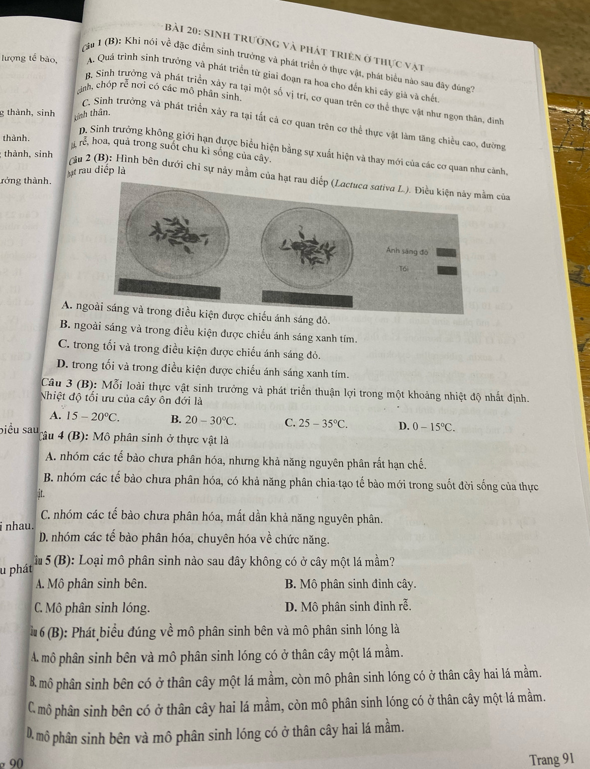 Sinh trưởng và phát triền ở thực vật
Câu 1 (B): Khi nói về đặc điểm sinh trưởng và phát triển ở thực vật, phát biểu nào sau đây đúng?
lượng tế bào, A. Quá trình sinh trưởng và phát triển từ giai đoạn ra hoa cho đến khi cây giả và chết
rảnh, chóp rễ nơi có các mô phân sinh.
B. Sinh trưởng và phát triển xảy ra tại một số vị trí, cơ quan trên cơ thể thực vật như ngọn thân, đinh
g thành, sinh
kính thân.
C. Sinh trưởng và phát triển xảy ra tại tất cả cơ quan trên cơ thể thực vật làm tăng chiều cao, đường
thành.
D. Sinh trưởng không giới hạn được biểu hiện bằng sự xuất hiện và thay mới của các cơ quan như cảnh
Já, rễ, hoa, quả trong suốt chu kì sống của cây.
; thành, sinh
hạt rau diếp là
(âu 2 (B): Hình bên dưới chỉ sự nảy mầm của hạt rm của
trởng thành.
A. ngoài sáng và trong điều kiện được chiếu ánh sáng đỏ.
B. ngoài sáng và trong điều kiện được chiếu ánh sáng xanh tím.
C. trong tối và trong điều kiện được chiếu ánh sáng đỏ.
D. trong tối và trong điều kiện được chiếu ánh sáng xanh tím.
Câu 3 (B): M6 Si loài thực vật sinh trưởng và phát triển thuận lợi trong một khoảng nhiệt độ nhất định.
Nhiệt độ tối ưu của cây ôn đới là
A. 15-20°C. B. 20-30°C. C. 25-35°C. D. 0-15°C.
biểu sau  Câu 4 (B): Mô phân sinh ở thực vật là
A. nhóm các tế bào chưa phân hóa, nhưng khả năng nguyên phân rất hạn chế.
B. nhóm các tế bào chưa phân hóa, có khả năng phân chia tạo tế bào mới trong suốt đời sống của thực
ật.
C. nhóm các tế bào chưa phân hóa, mất dần khả năng nguyên phân.
i nhau.
D. nhóm các tế bào phân hóa, chuyên hóa về chức năng.
u phát  à 5 (B): Loại mô phân sinh nào sau đây không có ở cây một lá mầm?
A. Mô phân sinh bên. B. Mô phân sinh đỉnh cây.
C. Mô phân sinh lóng. D. Mô phân sinh đỉnh rễ.
# 6 (B): Phát biểu đúng về mô phân sinh bên và mô phân sinh lóng là
A. mô phân sinh bên và mô phân sinh lóng có ở thân cây một lá mầm.
B.mô phân sinh bên có ở thân cây một lá mầm, còn mô phân sinh lóng có ở thân cây hai lá mầm.
C. mô phân sinh bên có ở thân cây hai lá mầm, còn mô phân sinh lóng có ở thân cây một lá mầm.
D. mô phân sinh bên và mô phân sinh lóng có ở thân cây hai lá mầm.
90 
Trang 91