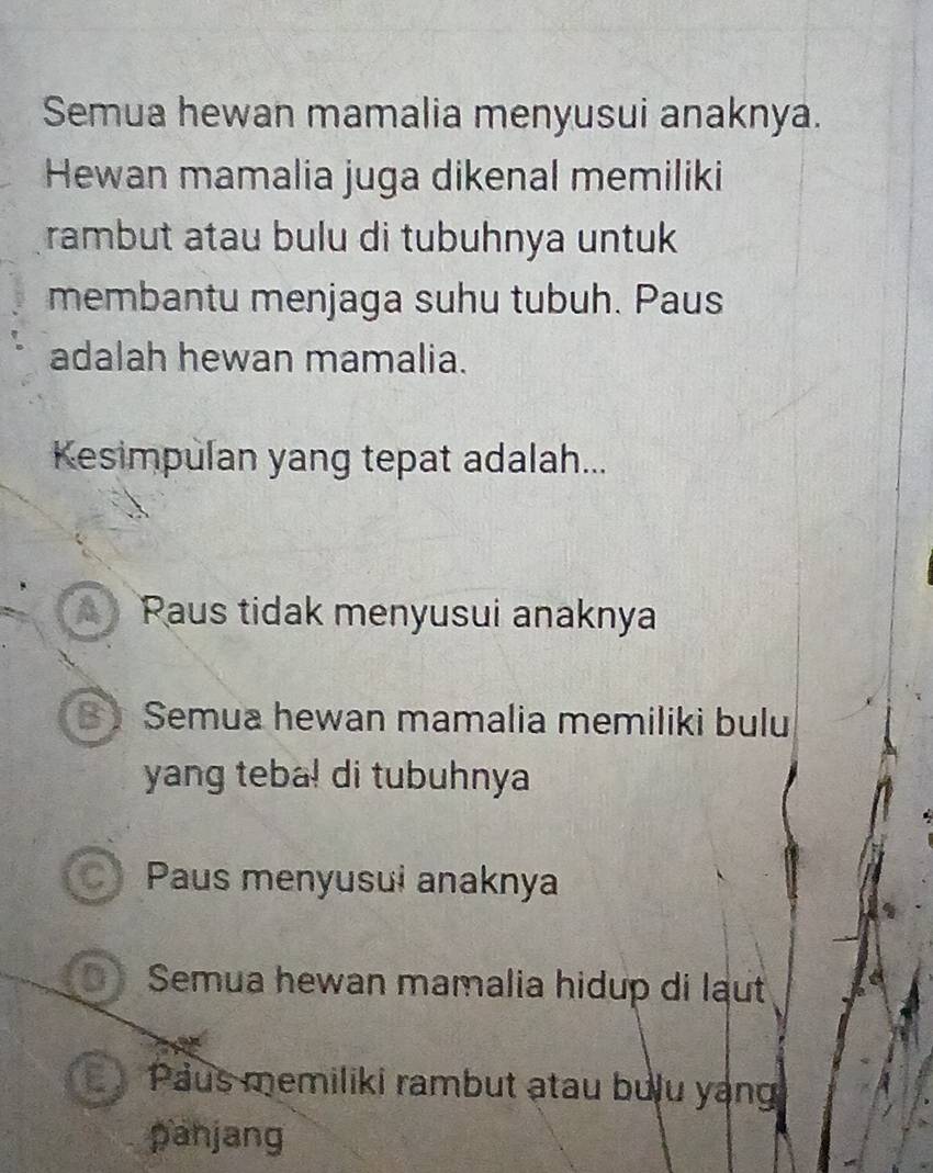 Semua hewan mamalia menyusui anaknya.
Hewan mamalia juga dikenal memiliki
rambut atau bulu di tubuhnya untuk
membantu menjaga suhu tubuh. Paus
adalah hewan mamalia.
Kesimpulan yang tepat adalah...
Paus tidak menyusui anaknya
Semua hewan mamalia memiliki bulu
yang teba! di tubuhnya
Paus menyusuɨ anaknya
O Semua hewan mamalia hidup di laut
Paus memiliki rambut atau buậu yang
panjang