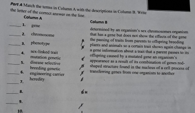 Port A Match the terms in Column A with the descriptions in Column B. Write 
the letter of the correct answer on the line. 
Column A Column B 
_1. gene 
determined by an organism's sex chromosomes organism 
that has a gene but does not show the effects of the gene 
_2. chromosome the passing of traits from parents to offspring breeding 
_3, phenotype plants and animals so a certain trait shows again change in 
a gene information about a trait that a parent passes to its 
_4. sex-linked trait offspring caused by a mutated gene an organism's 
mutation genetic appearance as a result of its combination of genes rod- 
_5. disease selective shaped structure found in the nucleus of a cell process of 
breeding genetic 
_6. engineering carrier transferring genes from one organism to another 
_ 
7. heredity 
_8. 
_9. 
10.