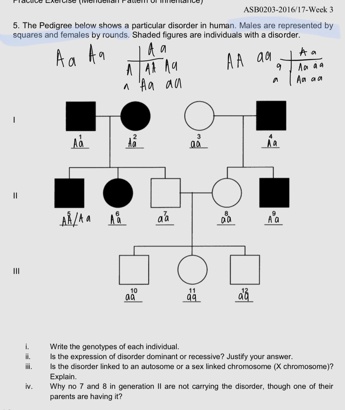 Practice Exercise (Mendelran Pattem of innentance)
ASB0203-2016/17-Week 3
5. The Pedigree below shows a particular disorder in human. Males are represented by
squares and females by rounds. Shaded figures are individuals with a disorder.
Ⅱ
II
i. Write the genotypes of each individual.
ⅱ. Is the expression of disorder dominant or recessive? Justify your answer.
ⅲi. Is the disorder linked to an autosome or a sex linked chromosome (X chromosome)?
Explain.
iv. Why no 7 and 8 in generation II are not carrying the disorder, though one of their
parents are having it?