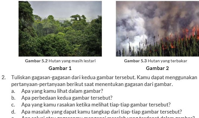 Gambar 1 Gambar 2 
2. Tuliskan gagasan-gagasan dari kedua gambar tersebut. Kamu dapat menggunakan 
pertanyaan-pertanyaan berikut saat menentukan gagasan dari gambar. 
a. Apa yang kamu lihat dalam gambar? 
b. Apa perbedaan kedua gambar tersebut? 
c. Apa yang kamu rasakan ketika melihat tiap-tiap gambar tersebut? 
d. Apa masalah yang dapat kamu tangkap dari tiap-tiap gambar tersebut?