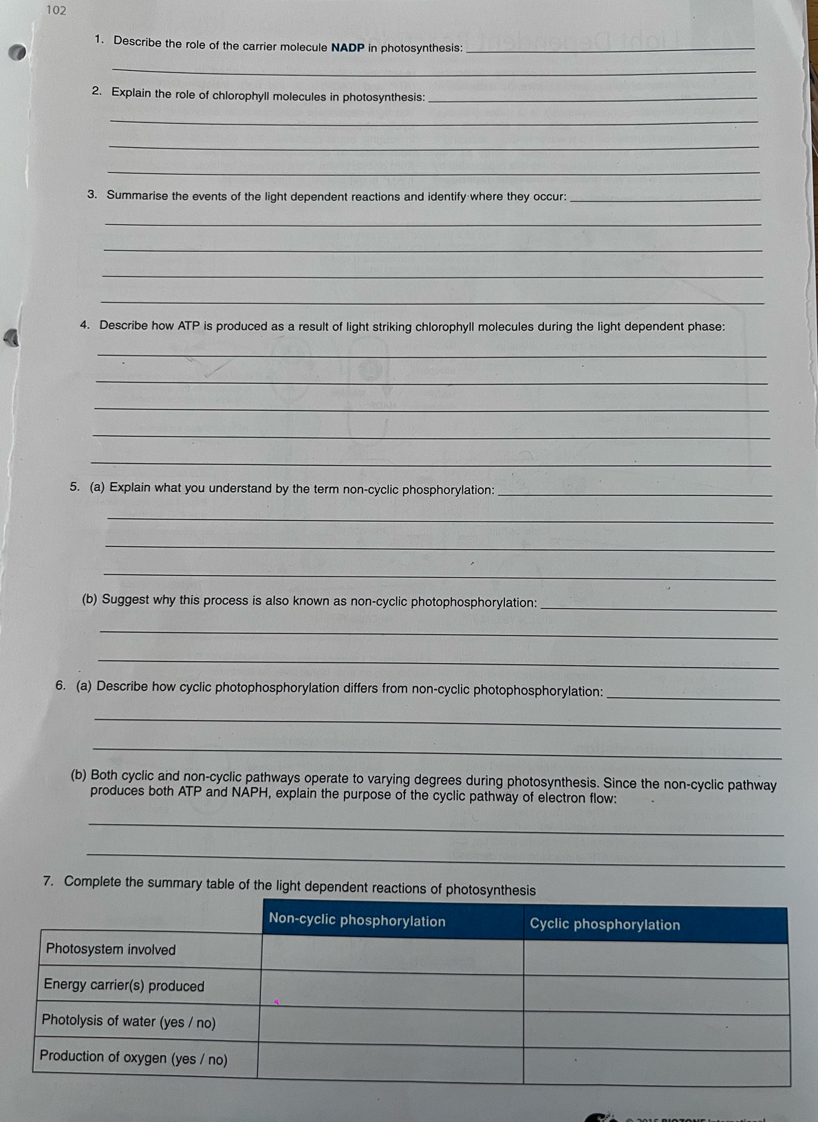 102 
1. Describe the role of the carrier molecule NADP in photosynthesis:_ 
_ 
2. Explain the role of chlorophyll molecules in photosynthesis:_ 
_ 
_ 
_ 
3. Summarise the events of the light dependent reactions and identify where they occur:_ 
_ 
_ 
_ 
_ 
4. Describe how ATP is produced as a result of light striking chlorophyll molecules during the light dependent phase: 
_ 
_ 
_ 
_ 
_ 
5. (a) Explain what you understand by the term non-cyclic phosphorylation_ 
_ 
_ 
_ 
(b) Suggest why this process is also known as non-cyclic photophosphorylation:_ 
_ 
_ 
_ 
6. (a) Describe how cyclic photophosphorylation differs from non-cyclic photophosphorylation: 
_ 
_ 
(b) Both cyclic and non-cyclic pathways operate to varying degrees during photosynthesis. Since the non-cyclic pathway 
produces both ATP and NAPH, explain the purpose of the cyclic pathway of electron flow: 
_ 
_ 
7. Complete the summary table of the light dependent reaction