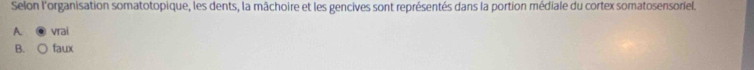 Selon l'organisation somatotopique, les dents, la mâchoire et les gencives sont représentés dans la portion médiale du cortex somatosensoriel.
A vrai
B. faux