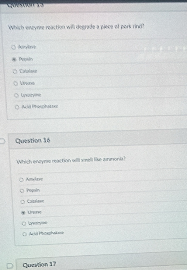 Which enzyme reaction will degrade a piece of pork rind?
Amylase
Pepsin
Catalase
Urease
Lysozyme
Acid Phosphatase
Question 16
Which enzyme reaction will smell like ammonia?
Amylase
Pepsin
Catalase
Urease
Lysozyme
Acid Phosphatase
Question 17
