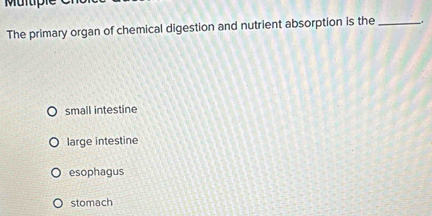 Mü r i
The primary organ of chemical digestion and nutrient absorption is the _.
small intestine
large intestine
esophagus
stomach