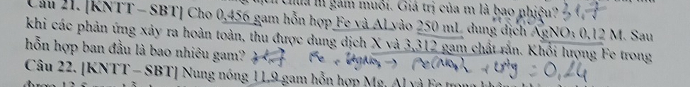 Ma m gam muối. Giá trị của m là bao phiêu? 
Cầu 21. [KNTT - SBT] Cho 0,456 gam hỗn hợp Fe và Al vào 250 mL dung dịch AgNO: 0,12 M. Sau 
khi các phản ứng xảy ra hoàn toàn, thu được dung dịch X và 3,312 gam chất rằn. Khổi lượng Fe trong 
hỗn hợp ban đầu là bao nhiêu gam? 
Câu 22. [KNTT - SBT] Nung nóng 1 L9 gam hỗn hợp