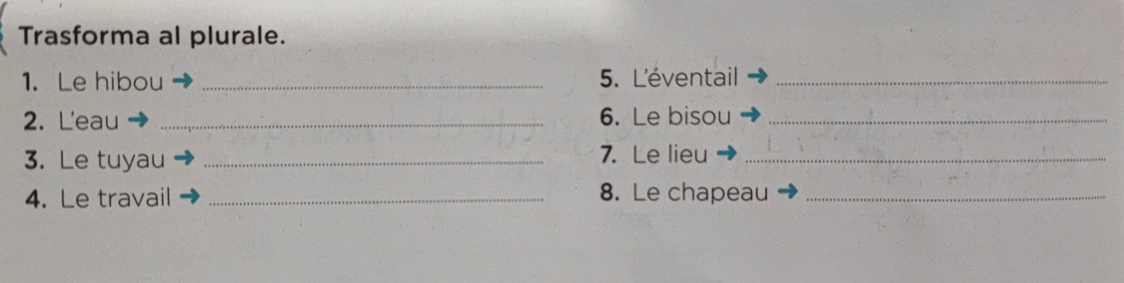 Trasforma al plurale. 
1. Le hibou _5. L'éventail_ 
2. L'eau _6. Le bisou_ 
3. Le tuyau_ 
7. Le lieu_ 
4. Le travail _8. Le chapeau_