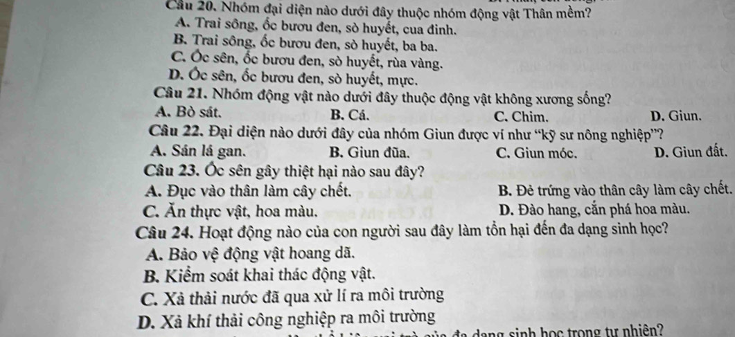 Cầu 20. Nhóm đại diện nào dưới đây thuộc nhóm động vật Thân mềm?
A. Trai sông, ốc bươu đen, sò huyết, cua đinh.
B. Trai sông, ốc bươu đen, sò huyết, ba ba.
C. Ốc sên, ốc bươu đen, sò huyết, rùa vàng.
D. Ốc sên, ốc bươu đen, sò huyết, mực.
Câu 21. Nhóm động vật nào dưới đây thuộc động vật không xương sống?
A. Bò sát. B. Cá. C. Chim. D. Giun.
Câu 22. Đại diện nào dưới đây của nhóm Giun được ví như “kỹ sư nông nghiệp”?
A. Sán lá gan. B. Giun đũa. C. Giun móc. D. Giun đất.
Câu 23. Ốc sên gây thiệt hại nào sau đây?
A. Đục vào thân làm cây chết. B. Đẻ trứng vào thân cây làm cây chết.
C. Ăn thực vật, hoa màu. D. Đào hang, cắn phá hoa màu.
Câu 24. Hoạt động nào của con người sau đây làm tổn hại đến đa dạng sinh học?
A. Bảo vệ động vật hoang dã.
B. Kiểm soát khai thác động vật.
C. Xả thải nước đã qua xử lí ra môi trường
D. Xả khí thải công nghiệp ra môi trường
a ng sinh học trong tự nhiên?