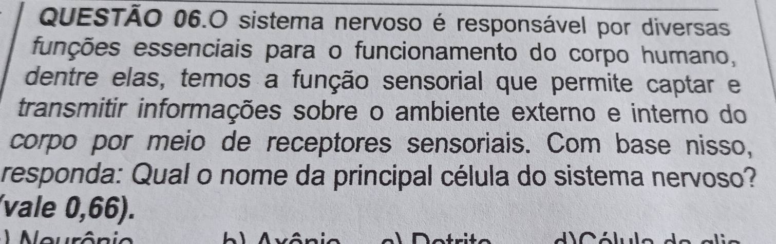 QUESTÃO 06.O sistema nervoso é responsável por diversas 
funções essenciais para o funcionamento do corpo humano, 
dentre elas, temos a função sensorial que permite captar e 
transmitir informações sobre o ambiente externo e interno do 
corpo por meio de receptores sensoriais. Com base nisso, 
responda: Qual o nome da principal célula do sistema nervoso? 
(vale 0,66). 
Neurô