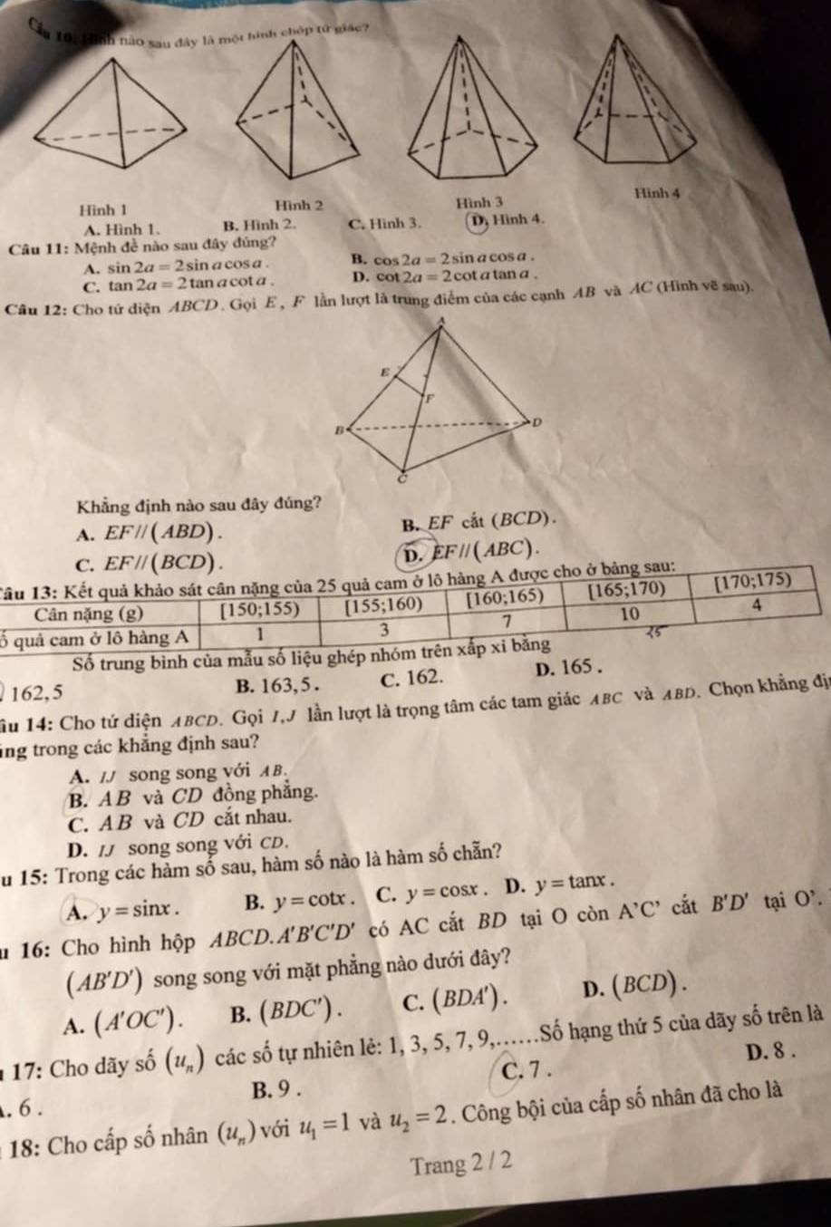 10: inh nào sau đây là ình chóp tử giác?
Hình 1 Hình 2 Hình 3
A. Hình 1. B. Hình 2. C. Hinh 3. D, Hình 4.
Câu 11:Men nh đề nào sau đây đúng?
A. sin 2a=2sin acos a. B. cos 2a=2sin acos a.
C. tan 2a=2tan acot a. D. cot 2a=2cot atan a.
Câu 12: Cho tứ diện ABCD . Gọi E , F lằn lượt là trung điểm của các cạnh AB và AC (Hình vẽ sau).
Khẳng định nào sau đây đúng?
B. EF
A. EF//(ABD). cắt (BCD).
C. EF//(BCD).
D. EF//(ABC)
Tâu 13: Kết quả khảo sát cân nặng của 25 quả cam ở lô hàng A được cho ở bảng sau:
Cân nặng (g) [150;155) [155;160) [160;165) [165;170) [170;175)
7
10
4
ố quả cam ở lô hàng A 1
3
35
Số trung bình của mẫu số liệu ghép nhóm trên xấp xỉ bằng
162,5 B. 163,5 . C. 162. D. 165 .
âu 14: Cho tứ diện ABCD. Gọi /,J lần lượt là trọng tâm các tam giác ABC νà ABD. Chọn khẳng địa
ing trong các khẳng định sau?
A. // song song với AB.
B. A B và CD đồng phẳng.
C. A B và CD cắt nhau.
D. / song song với CD.
Su 15: Trong các hàm số sau, hàm số nào là hàm số chẵn?
A. y=sin x. B. y=cot x. C. y=cos x. D. y=tan x.
* 16: Cho hình hộp ABC D. A'B'C'D' có AC cắt BD tại O còn A'C' cắt B'D' tại 0
(AB'D') song song với mặt phẳng nào dưới đây?
A. (A'OC'). B. (BDC'). C. (BDA'). D. (BCD).
1 17: Cho dãy số (u_n) các số tự nhiên lẻ: 1, 3, 5, 7, 9,..Số hạng thứ 5 của dãy số trên là
D. 8 .
B. 9 . C. 7 .
. 6 .
: 18: Cho cấp số nhân (u_n) với u_1=1 và u_2=2. Công bội của cấp số nhân đã cho là
Trang 2 / 2