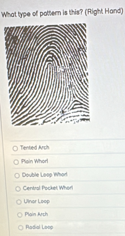 What type of pattern is this? (Right Hand)
Tented Arch
Plain Whorl
Double Loop Whorl
Central Pocket Whorl
Ulnar Loop
Plain Arch
Radial Loop