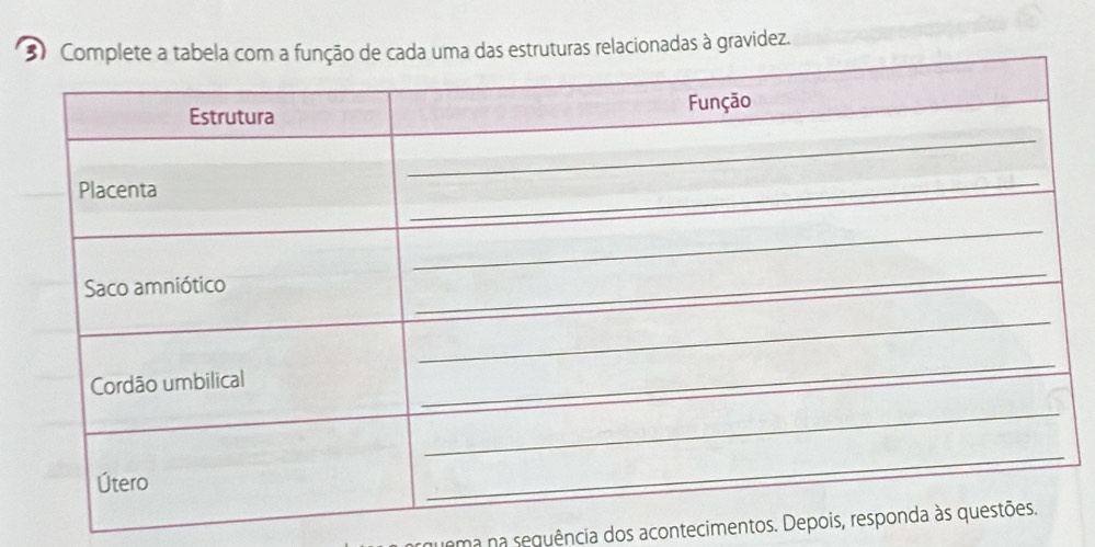 estruturas relacionadas à gravidez. 
quema na sequência dos acontecimentos. Depois,