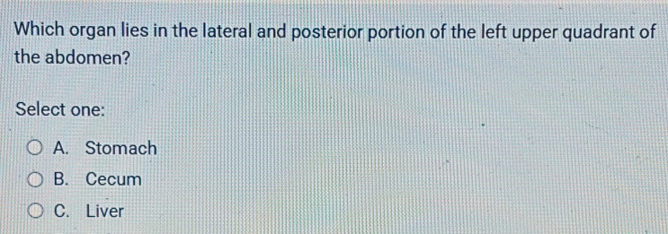 Solved: Which organ lies in the lateral and posterior portion of the ...