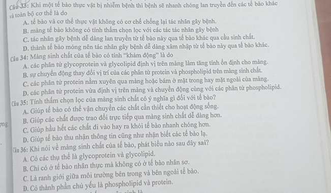 Khi một tế bào thực vật bị nhiễm bệnh thì bệnh sẽ nhanh chóng lan truyền đến các tế bào khác
và toàn bộ cơ thể là do
A. tế bào và cơ thể thực vật không có cơ chế chống lại tác nhân gây bệnh.
B. màng tế bào không có tính thấm chọn lọc với các tác tác nhân gây bệnh
C. tác nhân gây bệnh dễ dàng lan truyền từ tế bào này qua tế bào khác qua cầu sinh chất.
D. thành tế bào mỏng nên tác nhân gây bệnh dễ dàng xâm nhập từ tế bào này qua tế bào khác.
Câu 34: Màng sinh chất của tế bào có tính “khảm động” là do
A. các phân tử glycoprotein và glycolipid định vị trên màng làm tăng tính ổn định cho màng.
B. sự chuyển động thay đổi vị trí của các phân tử protein và phospholipid trên màng sinh chất.
C. các phân tử protein nằm xuyên qua màng hoặc bám ở mặt trong hay mặt ngoài của màng.
D. các phân tử protein vừa định vị trên màng và chuyển động cùng với các phân tử phospholipid.
Cu 35: Tính thấm chọn lọc của màng sinh chất có ý nghĩa gì đối với tế bào?
A. Giúp tế bào có thể vận chuyền các chất cần thiết cho hoạt động sống.
mg B. Giúp các chất được trao đồi trực tiếp qua màng sinh chất dễ dàng hơn.
C. Giúp hầu hết các chất đi vào hay ra khỏi tế bào nhanh chóng hơn.
D. Giúp tế bào thu nhận thông tin cũng như nhận biết các tế bào lạ.
Cu 36: Khi nói về màng sinh chất của tế bào, phát biểu nào sau đây sai?
A. Có các thụ thể là glycoprotein và glycolipid.
B. Chi có ở tế bào nhân thực mà không có ở tế bào nhân sơ.
C. Là ranh giới giữa môi trường bên trong và bên ngoài tế bào.
D. Có thành phần chủ yếu là phospholipid và protein.