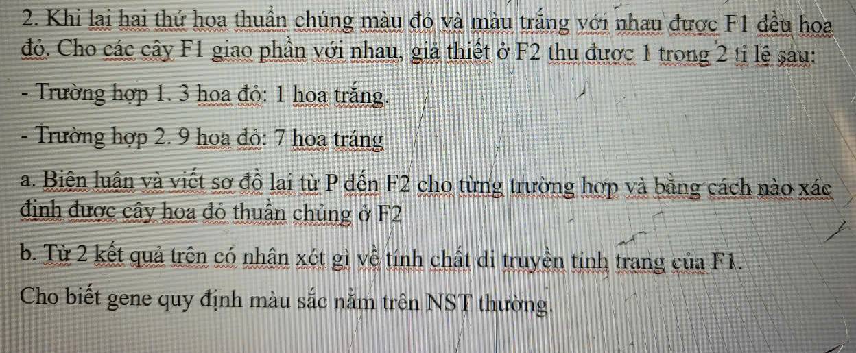 Khi lai hai thứ hoa thuần chúng màu đỏ và màu trắng với nhau được F1 đều hoa 
đỏ. Cho các cây F1 giao phần với nhau, giả thiết ở F2 thu được 1 trong 2 tỉ lệ sau: 
- Trường hợp 1. 3 hoa đỏ: 1 hoa trắng. 
- Trường hợp 2. 9 hoa đỏ: 7 hoa tráng 
a. Biên luân và viết sơ đồ lai từ P đến F2 cho từng trường hợp và bằng cách nào xác
định được cây hoa đỏ thuần chủng ở F2
b. Từ 2 kết quả trên có nhân xét gì về tính chất di truyền tỉnh trang của F1. 
Cho biết gene quy định màu sắc nằm trên NST thường.