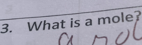 What is a mole?