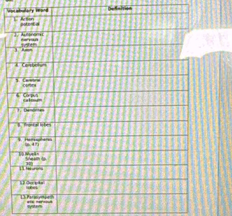 Vocabulary Word Dennition 
system