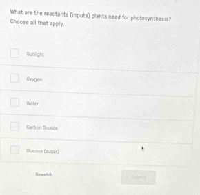 What are the reactants (inputs) plants need for photosynthesis?
Choose all that apply.
Sunäght
Oxygen
Water
Carbon Dioxide
Glucose (sugar)
Rewatch Batmvs