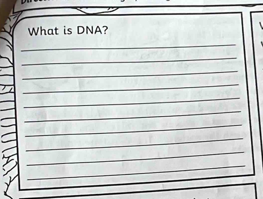 What is DNA? 
_ 
_ 
_ 
_ 
_ 
_ 
_ 
_ 
_ 
_