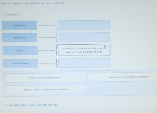 Match the urinary tract procedures to the correct definitions.
Instructions
cystectomy
cystostomy
ESWL breakdown of kidney stones using sound 
waves generated outside the body
cystolithectomy
surgical removal of the blacder creation of an opening in the bladder
surgical removal of a stone in the bladder
Need help? Review these concept resources.