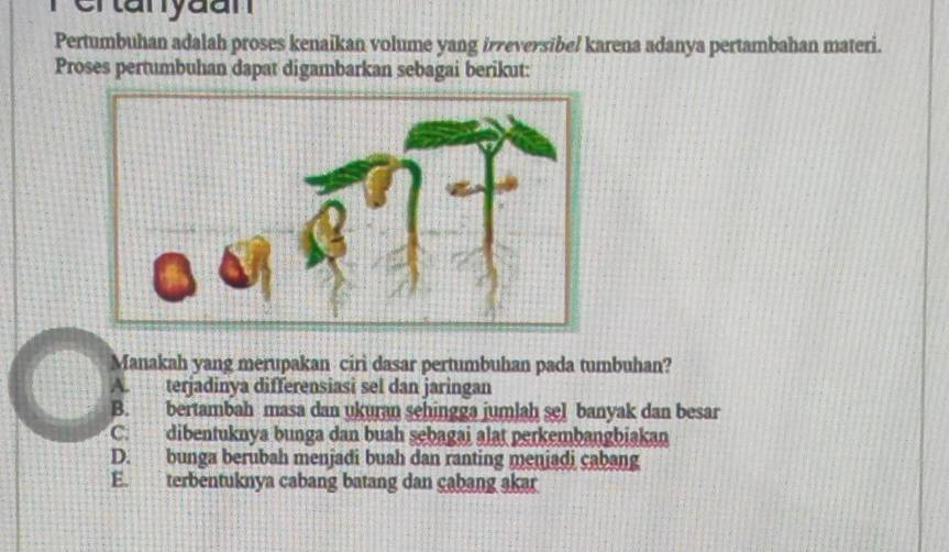 Crtanyaan
Pertumbuhan adalah proses kenaikan volume yang irreversibel karena adanya pertambahan materi.
Proses pertumbuhan dapat digambarkan sebagai berikut:
Manakah yang merupakan ciri dasar pertumbuhan pada tumbuhan?
A. terjadinya differensiasi sel dan jaringan
B. bertambah masa dan ukuran sehingga jumlah sel banyak dan besar
C. dibentuknya bunga dan buah şebagai alat perkembangbiakan
D. bunga berubah menjadi buah dan ranting meniadi cabang
E. terbentuknya cabang batang dan gabang akar