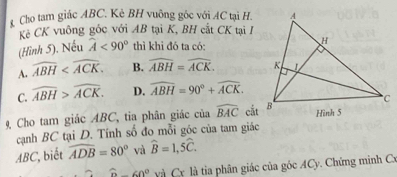 Cho tam giác ABC. Kè BH vuông gốc với AC tại H.
Kẻ CK vuông góc với AB tại K, BH cắt CK tại I
(Hình 5). Nếu widehat A<90° thì khi đó ta có:
A. widehat ABH . B. widehat ABH=widehat ACK.
C. widehat ABH>widehat ACK. D. widehat ABH=90°+widehat ACK. 
9 Cho tam giác ABC, tia phân giác của widehat BAC cắt
cạnh BC tại D. Tính số đo mỗi góc của tam giác
ABC, biết widehat ADB=80° và widehat B=1, 5widehat C.
60° và Cr là tia phân giác của góc ACy. Chứng minh Cx