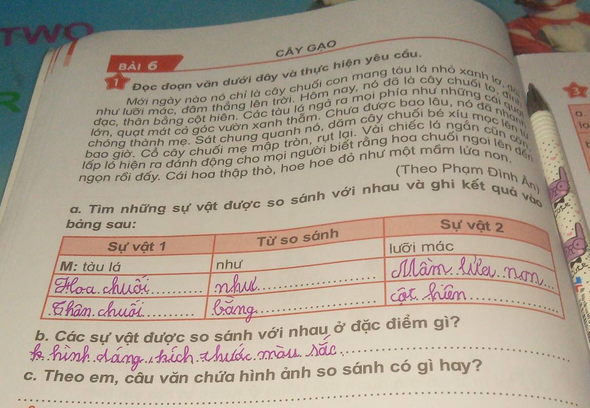 Cây gạo 
bài 6 
Đọc đoạn văn dưới đây và thực hiện yêu cầu. 
Mới ngày nào nó chỉ là cây chuối con mang tàu lá nhỏ xanh lợ, đã 
như lưỡi mác, đâm thẳng lên trời. Hôm nay, nó đã là cây chuối to, định 
đạc. thân bằng cột hiên. Các tàu lá ngả ra mọi phía như những cái qua 
a . 
lớn, quạt mát cả góc vườn xanh thẫm. Chưa được bao lâu, nó đã nhanh 
a 
chóng thành mẹ. Sát chung quanh nó, dăm cây chuối bé xíu mọc lên tự 
bao giờ. Cổ cây chuối mẹ mập tròn, rụt lại. Vài chiếc lá ngắn cũn côn 
lấp lỗ hiện ra đảnh động cho mọi người biết rằng hoa chuối ngoi lên đến 
ngọn rồi đấy. Cái hoa thập thỏ, hoe hoe đỏ như một mầm lửa non. 
Theo Phạm Đình Ân) 
c so sánh với nhau và ghi kết quả vào 
_ 
b. Các sự vật được so sánh với nhau 
c. Theo em, câu văn chứa hình ảnh so sánh có gì hay? 
_