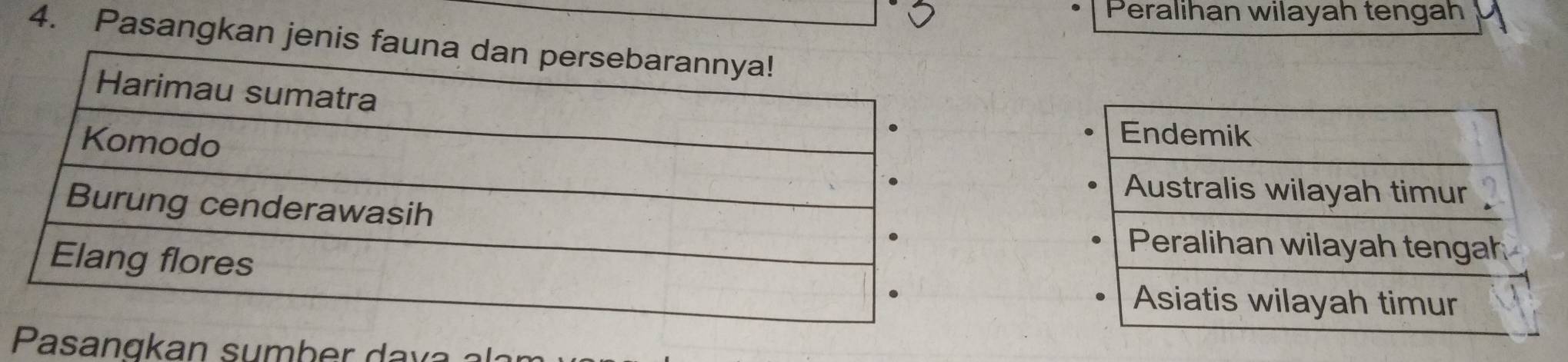 Peralihan wilayah tengah 
4. Pasangkan jeni 
Endemik 
Australis wilayah timur 
Peralihan wilayah tengah 
Asiatis wilayah timur