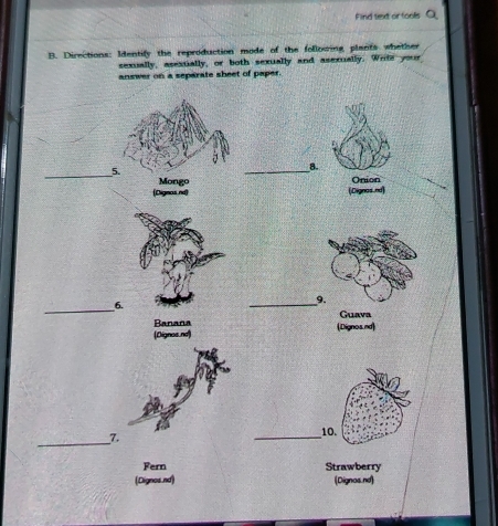 Find text or fools Q 
B. Directions: Identify the reproduction mode of the following plants whether 
sexually, asextially, or both sexually and asexually. Write your 
nswer on a separate sheet of paper.