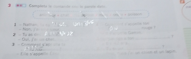 Completa le domande con le parole date. 
aniraux « chat X rrk 
1 - Nathan, 

- Non, j Caro 
_ 
2 - Tu as de _touge ? 
- Oui, j'ai un chat 
3 - Comment s'apr alle ta 
? 
_ 
- Elle s'appelle Élls u fei n chien et un lapin.