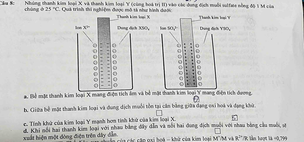 Nhúng thanh kim loại X và thanh kim loại Y (cùng hoá trị II) vào các dung dịch muối sulfate nồng độ 1 M của
chúng ở 25°C. Quá trình thí nghiệm được mô tả như hình dưới:

a. Bề mặt thanh kim loại X mang điện tích âmặt thanh kim loại Y mang điện tích dương.
b. Giữa bề mặt thanh kim loại và dung dịch muối tồn tại cân bằng giữa dạng oxi hoá và dạng khử.
c. Tính khử của kim loại Y mạnh hơn tính khử của kim loại X.
d. Khi nối hai thanh kim loại với nhau bằng dây dẫn và nối hai dung dịch muối với nhau bằng cầu muối, sẽ
xuất hiện một dòng điện trên dây dẫn. lần lượt là +0,799
cuần của các căp oxi hoá - khử của kim loại M^+/M và R^(2+)/R