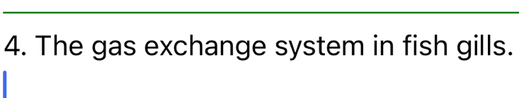 The gas exchange system in fish gills.