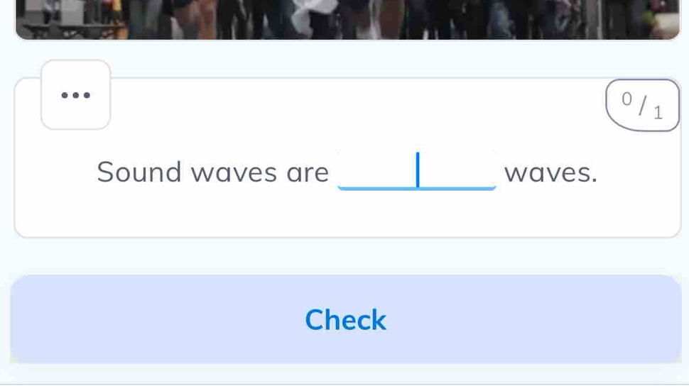 0 / 1 
_ 
Sound waves are waves. 
Check