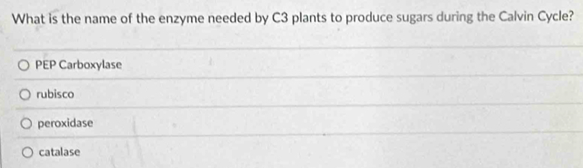 What is the name of the enzyme needed by C3 plants to produce sugars during the Calvin Cycle?
PEP Carboxylase
rubisco
peroxidase
catalase