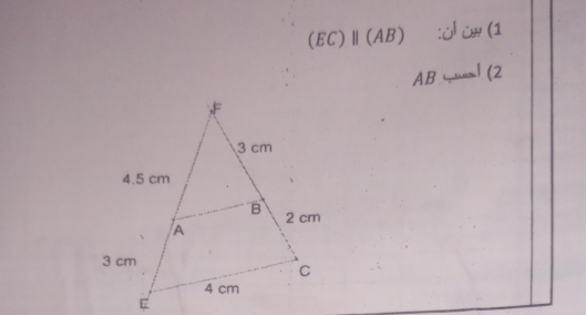 (EC)parallel (AB) :¿ (1 
ABto AB