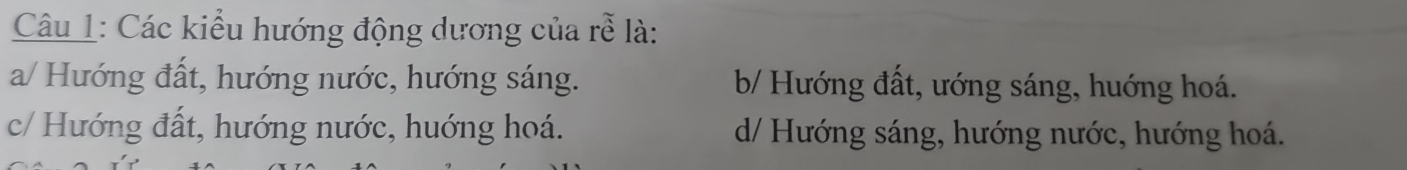 Các kiểu hướng động dương của rễ là:
a/ Hướng đất, hướng nước, hướng sáng. b/ Hướng đất, ướng sáng, huớng hoá.
c/ Hướng đất, hướng nước, huớng hoá. d/ Hướng sáng, hướng nước, hướng hoá.