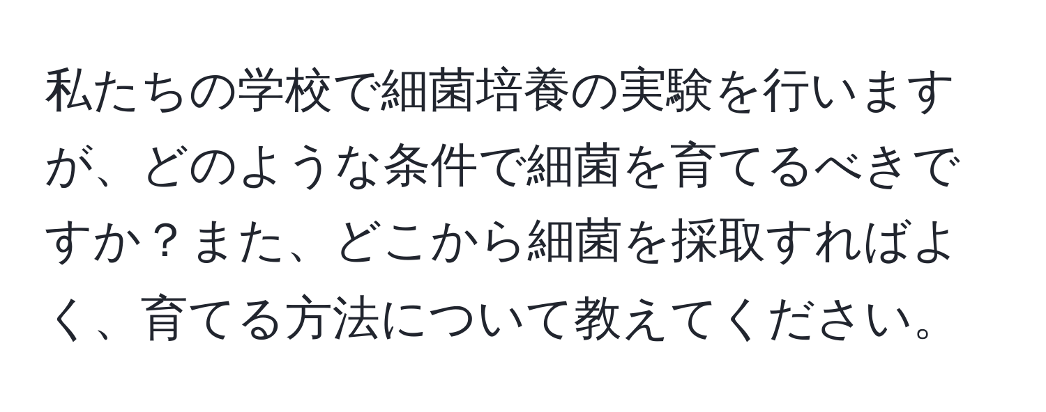 私たちの学校で細菌培養の実験を行いますが、どのような条件で細菌を育てるべきですか？また、どこから細菌を採取すればよく、育てる方法について教えてください。