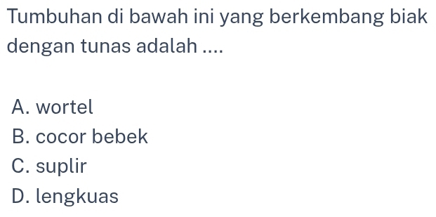 Tumbuhan di bawah ini yang berkembang biak
dengan tunas adalah ....
A. wortel
B. cocor bebek
C. suplir
D. lengkuas