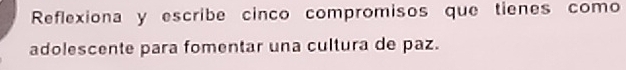 Reflexiona y escribe cinco compromisos que tienes como 
adolescente para fomentar una cultura de paz.