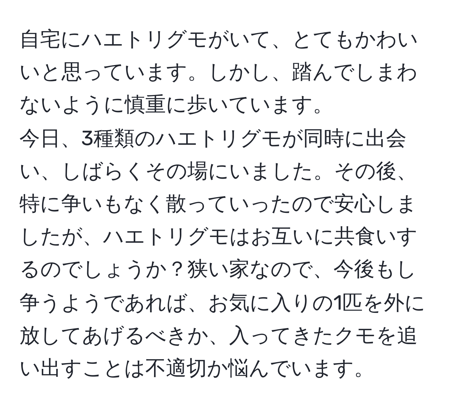 自宅にハエトリグモがいて、とてもかわいいと思っています。しかし、踏んでしまわないように慎重に歩いています。  
今日、3種類のハエトリグモが同時に出会い、しばらくその場にいました。その後、特に争いもなく散っていったので安心しましたが、ハエトリグモはお互いに共食いするのでしょうか？狭い家なので、今後もし争うようであれば、お気に入りの1匹を外に放してあげるべきか、入ってきたクモを追い出すことは不適切か悩んでいます。