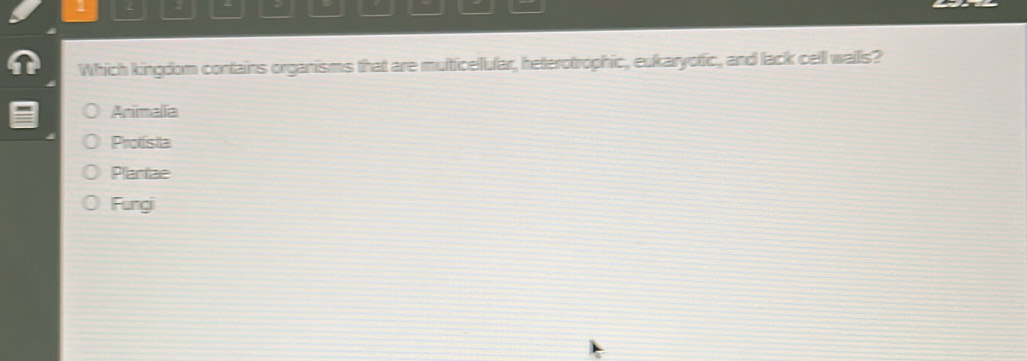 Which kingdom contains organisms that are multicellular, heterotrophic, eukaryotic, and lack cell walls?
Animalia
Protísta
Plantae
Fungi