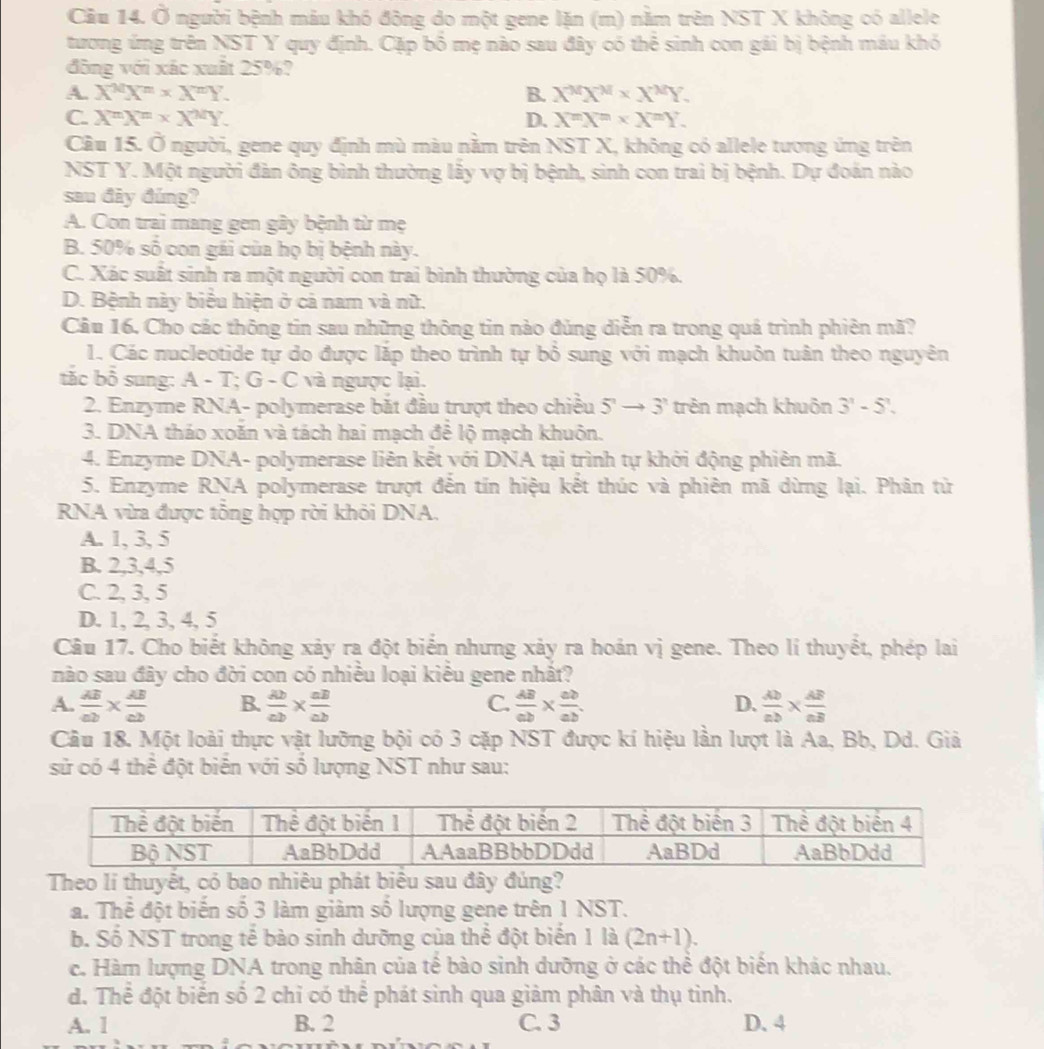 Cầu 14. Ở người bệnh máu khó đông do một gene lặn (m) nằm trên NST X không có allele
tương ứng trên NST Y quy định. Cặp bố mẹ nào sau đây có thể sinh con gái bị bệnh máu khó
động với xác xuất 25%?
A. X^MX^n* X^nY. B. X^MX^M* X^MY.
C. X^nX^n* X^nY. D. X^mX^mY.
Cầu 15. Ở người, gene quy định mù màu nằm trên NST X, không có allele tương ứng trên
NST Y. Một người đàn ông bình thường lấy vợ bị bệnh, sinh con trai bị bệnh. Dự đoán nào
sau đây đúng?
A. Con trai mang gen gây bệnh từ mẹ
B. 50% số con gái của họ bị bệnh này.
C. Xác suất sinh ra một người con trai bình thường của họ là 50%.
D. Bệnh này biểu hiện ở cả nam và nữ.
Cầu 16. Cho các thông tin sau những thông tin nào đủng diễn ra trong quá trình phiên mã?
1. Các nucleotide tự do được lặp theo trình tự bỏ sung với mạch khuôn tuân theo nguyên
tắc bỏ sung: A - T; G - C và ngược lại.
2. Enzyme RNA- polymerase bắt đầu trượt theo chiều 5^nto 3^n trên mạch khuôn 3^n-5^n.
3. DNA tháo xoăn và tách hai mạch để lộ mạch khuôn.
4. Enzyme DNA- polymerase liên kết với DNA tại trình tự khởi động phiên mã.
5. Enzyme RNA polymerase trượt đến tín hiệu kết thúc và phiên mã dừng lại. Phân từ
RNA vừa được tổng hợp rời khỏi DNA.
A. 1, 3, 5
B. 2,3,4,5
C. 2, 3, 5
D. 1, 2, 3, 4, 5
Câu 17. Cho biết không xảy ra đột biển nhưng xảy ra hoán vị gene. Theo lí thuyết, phép lai
nào sau đây cho đời con có nhiều loại kiểu gene nhất?
C.
A.  AB/ab *  AB/cb  B.  Ab/ab *  ab/ab   AB/ab *  ab/ab . D.  AD/ab *  AB/aB 
Câu 18. Một loài thực vật lưỡng bội có 3 cặp NST được kí hiệu lần lượt là Aa, Bb, Dd. Giả
sử có 4 thể đột biển với số lượng NST như sau:
Theo lí thuyết, có bao nhiêu phát biêu sau đây đúng?
a. Thể đột biến số 3 làm giảm số lượng gene trên 1 NST.
b. Số NST trong tế bào sinh dưỡng của thể đột biến 1 là (2n+1).
c. Hàm lượng DNA trong nhân của tế bào sinh dưỡng ở các thể đột biến khác nhau.
d. Thể đột biến số 2 chỉ có thể phát sinh qua giảm phân và thụ tinh.
A. 1 B. 2 C. 3 D. 4