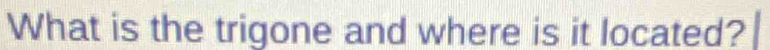 What is the trigone and where is it located?