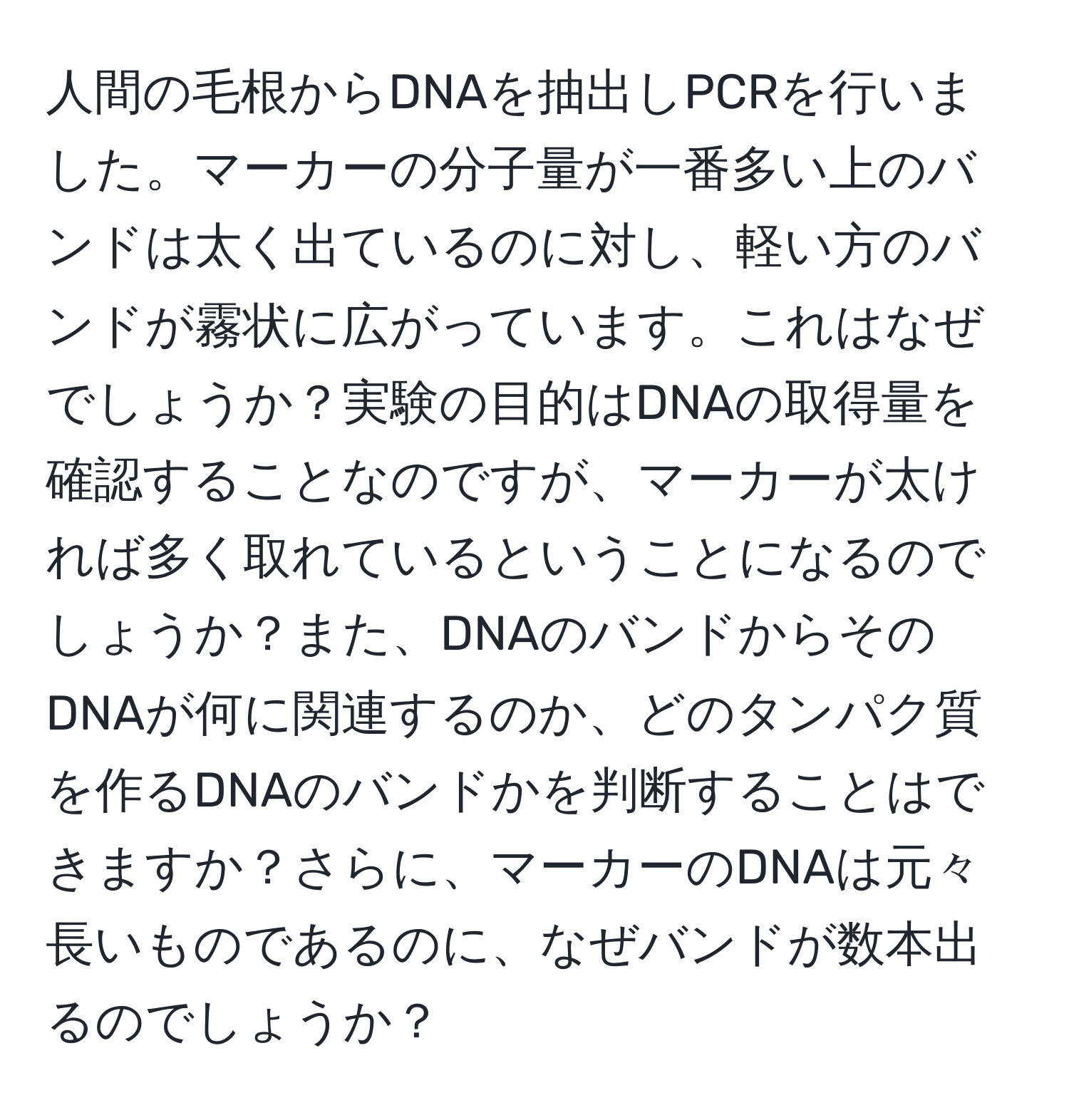 人間の毛根からDNAを抽出しPCRを行いました。マーカーの分子量が一番多い上のバンドは太く出ているのに対し、軽い方のバンドが霧状に広がっています。これはなぜでしょうか？実験の目的はDNAの取得量を確認することなのですが、マーカーが太ければ多く取れているということになるのでしょうか？また、DNAのバンドからそのDNAが何に関連するのか、どのタンパク質を作るDNAのバンドかを判断することはできますか？さらに、マーカーのDNAは元々長いものであるのに、なぜバンドが数本出るのでしょうか？