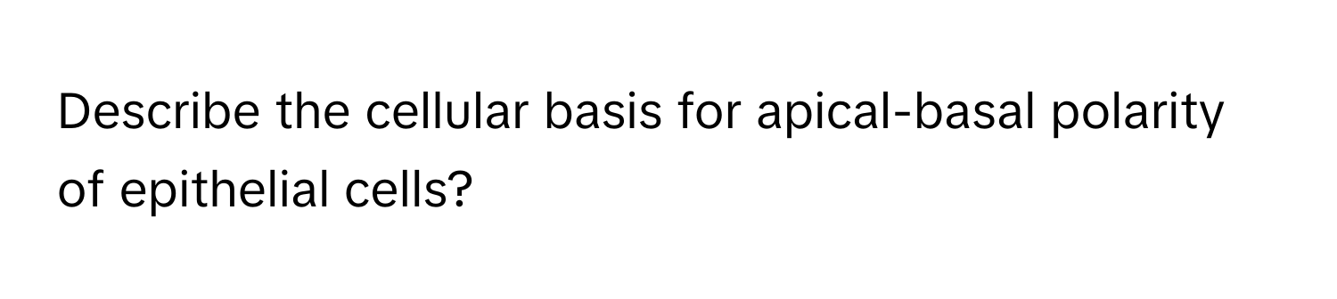 Describe the cellular basis for apical-basal polarity of epithelial cells?