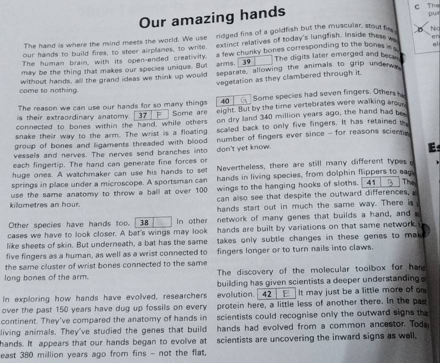 Our amazing hands c The
pur
The hand is where the mind meets the world. We use ridged fins of a goldfish but the muscular, stout fim D Nc
our hands to build fires, to steer airplanes, to write. extinct relatives of today's lungfish. Inside these we en
The human brain, with its open-ended creativity, a few chunky bones corresponding to the bones in el
may be the thing that makes our species unique. But arms. 39 The digits later emerged and becam
without hands, all the grand ideas we think up would separate, allowing the animals to grip underwa
vegetation as they clambered through it.
come to nothing.
The reason we can use our hands for so many things 40 Some species had seven fingers. Others ha
is their extraordinary anatomy.  37 Some are eight. But by the time vertebrates were walking aroum
connected to bones within the hand, while others on dry land 340 million years ago, the hand had bee
snake their way to the arm. The wrist is a floating scaled back to only five fingers. It has retained the
group of bones and ligaments threaded with blood number of fingers ever since - for reasons scientis
vessels and nerves. The nerves send branches into don't yet know.
E
each fingertip. The hand can generate fine forces or
huge ones. A watchmaker can use his hands to set Nevertheless, there are still many different types c
springs in place under a microscope. A sportsman can hands in living species, from dolphin flippers to eag
use the same anatomy to throw a ball at over 100 wings to the hanging hooks of sloths. 41 The
kilometres an hour. can also see that despite the outward differences, a
hands start out in much the same way. There is
Other species have hands too. 38 In other network of many genes that builds a hand, and a
cases we have to look closer. A bat's wings may look hands are built by variations on that same network.
like sheets of skin. But underneath, a bat has the same  takes only subtle changes in these genes to mak .
five fingers as a human, as well as a wrist connected to fingers longer or to turn nails into claws.
the same cluster of wrist bones connected to the same
long bones of the arm. The discovery of the molecular toolbox for hand
building has given scientists a deeper understanding o
In exploring how hands have evolved, researchers evolution. 42 E It may just be a little more of on
over the past 150 years have dug up fossils on every protein here, a little less of another there. In the past
continent. They’ve compared the anatomy of hands in scientists could recognise only the outward signs tha
living animals. They've studied the genes that build hands had evolved from a common ancestor. Toda
hands. It appears that our hands began to evolve at scientists are uncovering the inward signs as well.
east 380 million years ago from fins - not the flat,
